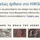 Illustration for article titled This is HiRISE, the most powerful camera we've ever sent to another planet